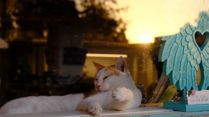 uploaded-image-eski-donemlerin-teknolojisi-ve-icatlar-1697206071569