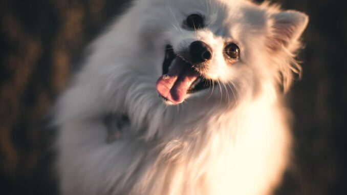uploaded-image-eski-donemlerin-ulasim-araclari-1697206101686