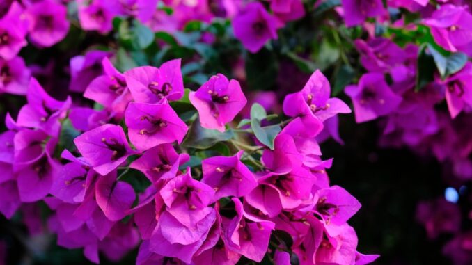 uploaded-image-eski-fotografcilik-tekniklerinin-dijital-donusumu-1697206052151